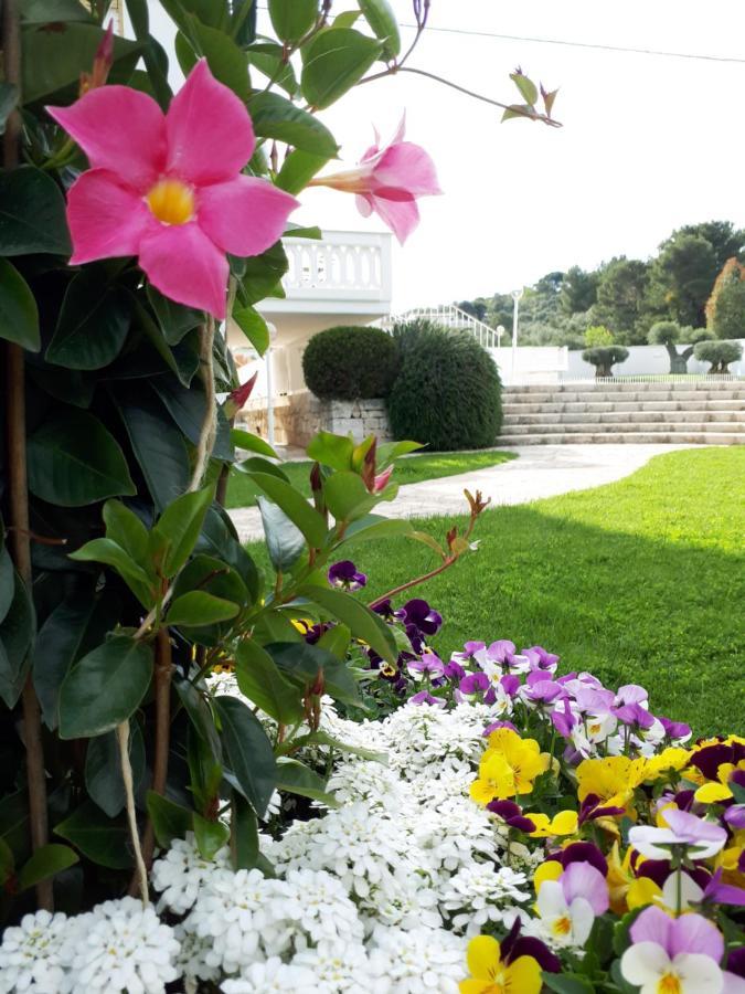 Villa Natia Mottola Exterior photo
